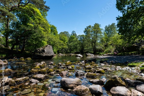 river in the forest