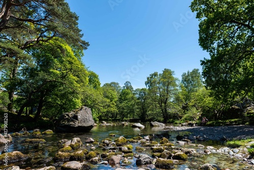 river in the forest