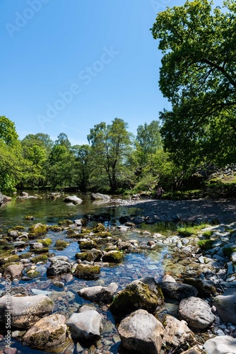 river in the forest