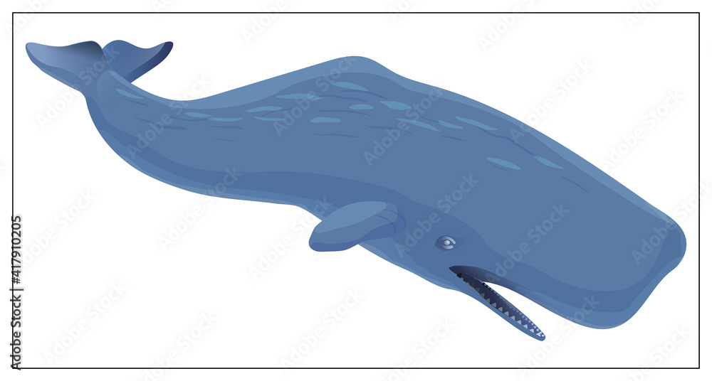 Vector blue whale. Flat cartoon icon isolated on white background ...