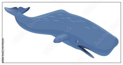 Vector blue whale. Flat cartoon icon isolated on white background.
