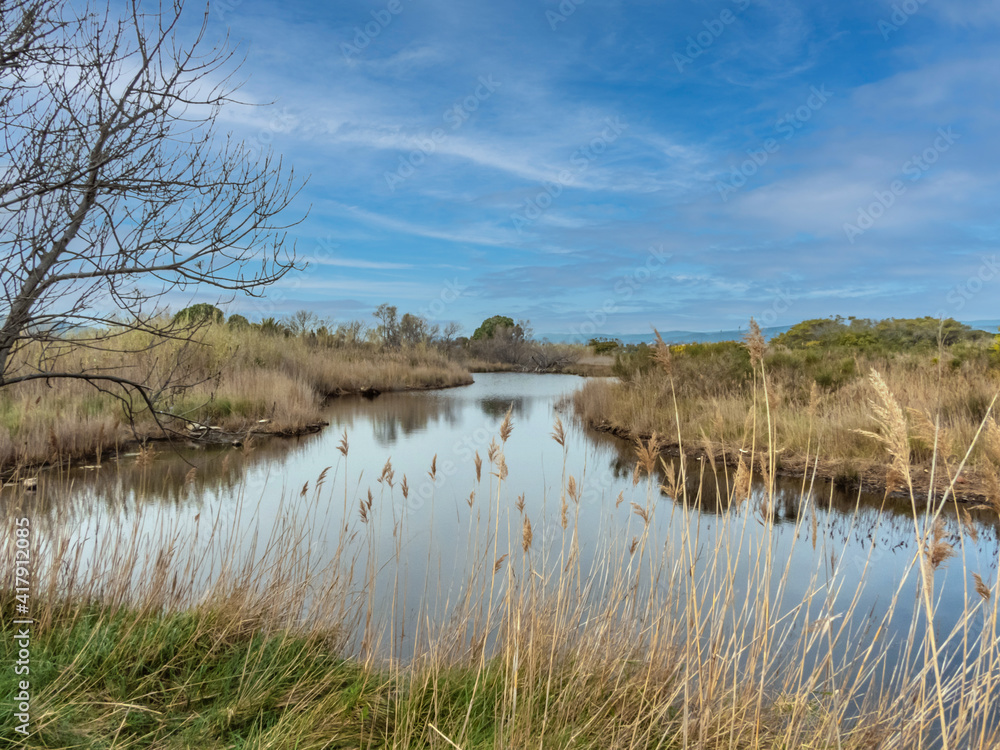 Paysage avec un étang bordé de bois et de joncs Paysage avec un étang bordé de bois et de joncs