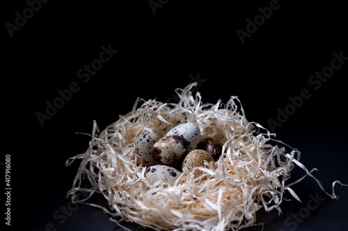 Heap of Quail eggs in nest from dry grass or hay isolated on dark background. copy space for advertising of food or restaurant menu design. easter eggs