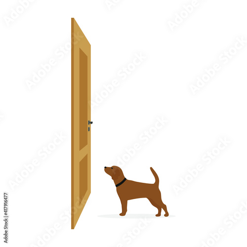 Dog with a collar stands in front of the door on a white background