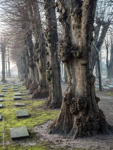 Cemetery in Christiansfeld, Denmark photo