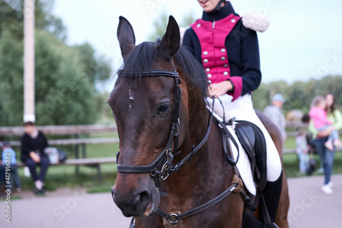 A rider in a smart red coat and white breeches on a bay horse. Selective focus.