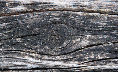 Rustic wood texture of drift wood closeup nature photo. Has a knot in the wood with horizontal lines.