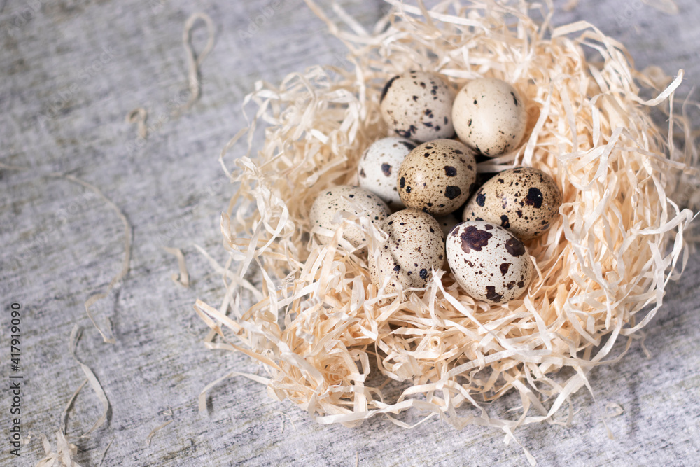 composition of quail eggs in a nest of dry grass or Wheat, oats, millet. with free space for text advertising of food or restaurant menu design. Healthy food concept. composition of quail eggs in a nest of dry grass or Wheat, oats, millet. with free space for text advertising of food or restaurant menu design. Healthy food concept.