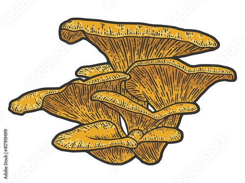 Mushroom plants. Sketch scratch board imitation color.