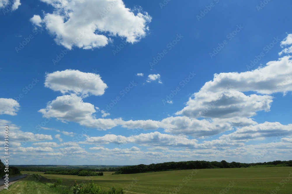 Field and blue sky, beautiful view