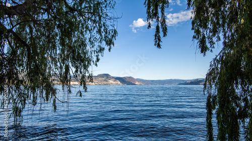 view to the beautiful lake through the leaves of trees sunny day photo