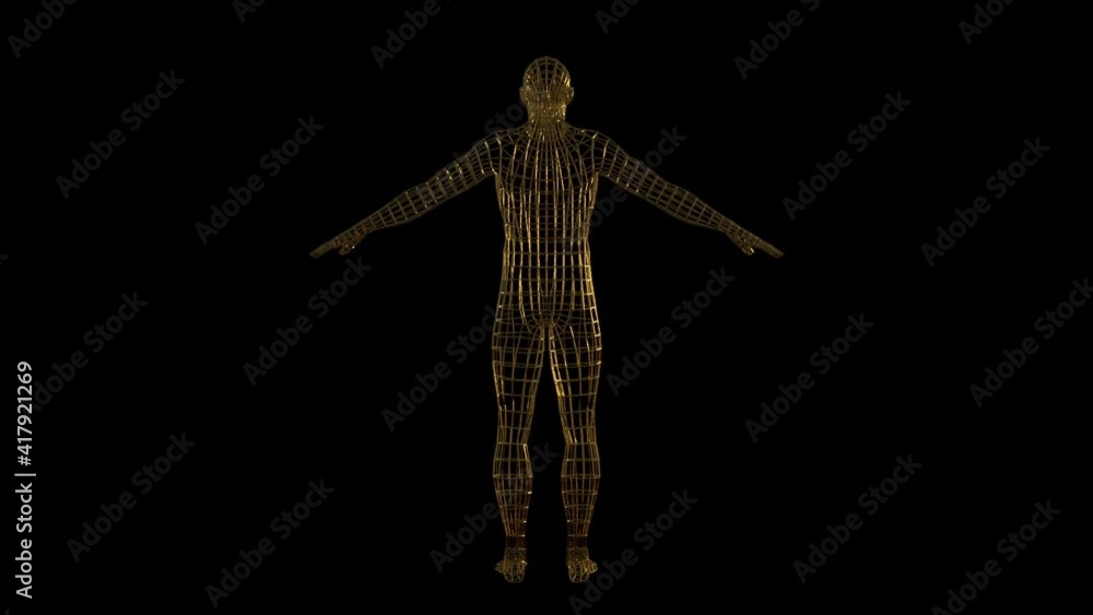 3d render of human body made of golden wire, rotating camera 3d render of human body made of golden wire, rotating camera