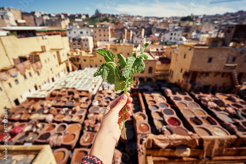 Female hand holding mint leaves against Tanneries of Fes, Africa Old tanks of the Fez's tanneries with color paint for leather, Morocco, Africa © luengo_ua