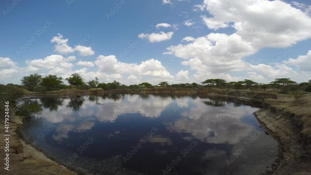 Hippos. An exciting safari trip through the Selous National Park. Tanzania. Africa. Hippos. An exciting safari trip through the Selous National Park. Tanzania. Africa.