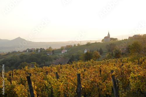 autumn vineyard in the sunset Balaton Hungary