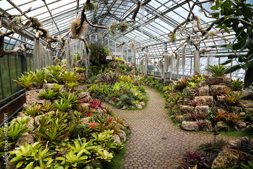 Slika na platnu greenhouse with plants