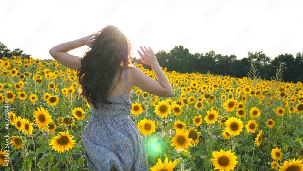 Unrecognizable brunette running through yellow sunflower field. Young woman in dress having fun jogging through meadow at sunny day. Scenic summer landscape on background. Adventure concept. Back view Unrecognizable brunette running through yellow sunflower field. Young woman in dress having fun jogging through meadow at sunny day. Scenic summer landscape on background. Adventure concept. Back view