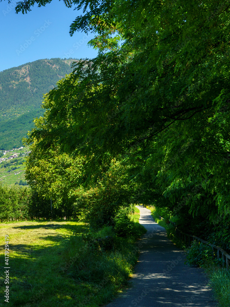 Landscape along the Sentiero della Valtellina, Italy, from the cycleway Landscape along the Sentiero della Valtellina, Italy, from the cycleway