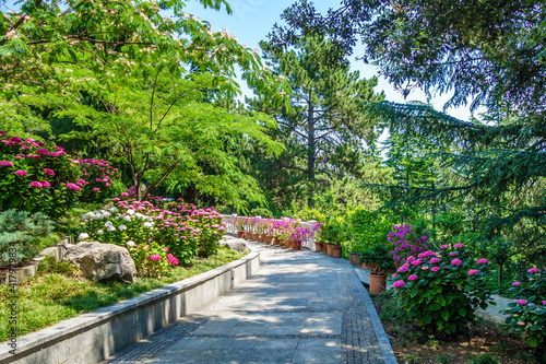 Summer alley in urban park among blooming flowers & trees. Shot in urban park Paradise (sanatorium Ayvazovskoe) in Partenit, Crimea