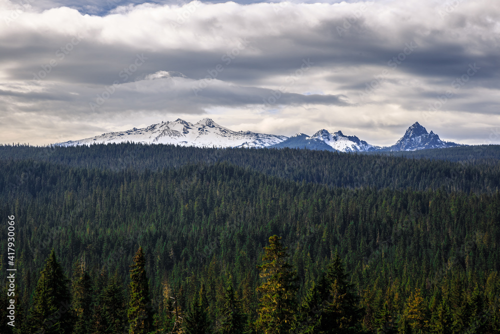 Diamond Peak Forest Landscape, Oregon