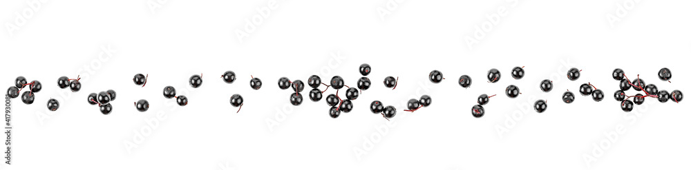 Elderberries isolated on a white background, top view. Healing product. Elderberries isolated on a white background, top view. Healing product.