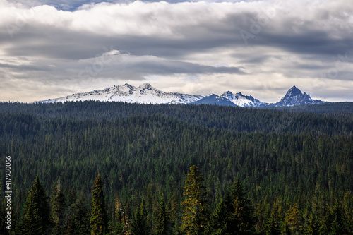 Diamond Peak Forest Landscape, Oregon © Stephen