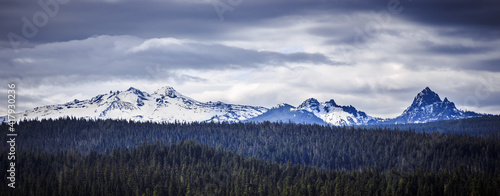Diamond Peak Forest Landscape, Oregon