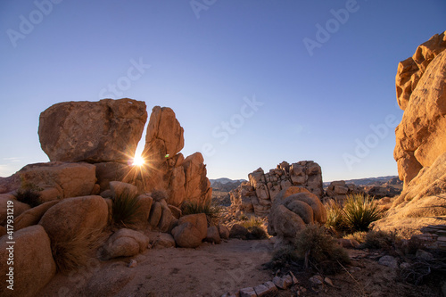 Sunrise in the Mojave desert