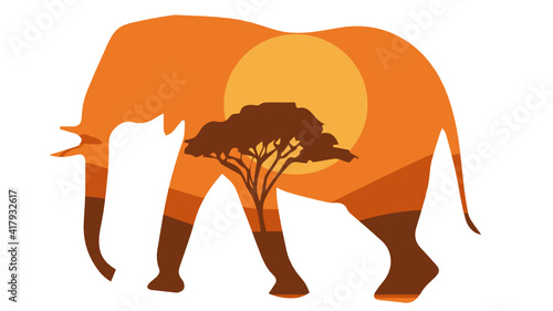 Elephant savanna background