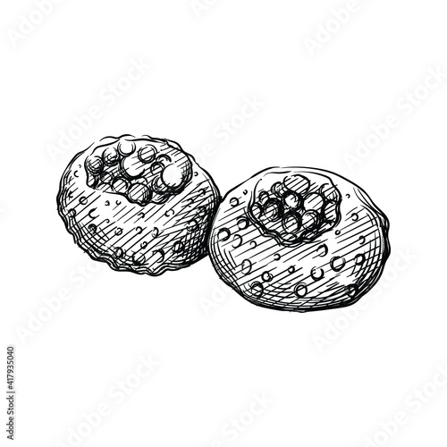 Hand drawn sketch of Indian Pani puri on a white background. Indian cuisine. Food. Meals. 