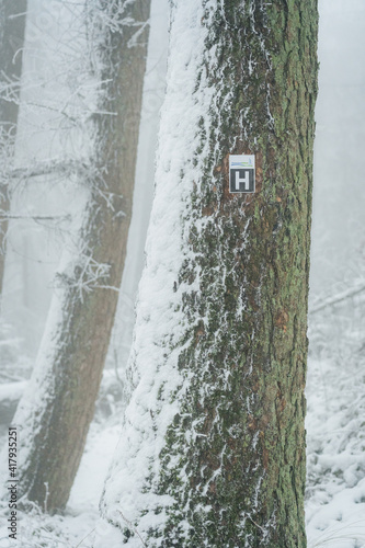 Wegweiser Zeichen Hermanns Höhen Wanderweg im Winter, Teutoburger Wald photo