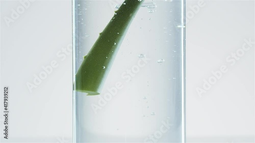 Wallpaper Mural Aloe vera leaf falls into glass flask with water. Aloe Vera in the Water. Air bubbles. Advertising concept. Minimalism. Aloe vera gel. White background. Slow motion. Torontodigital.ca