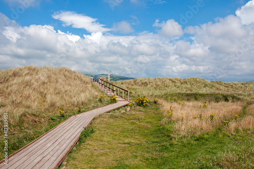 Sand dunes in the summertime.