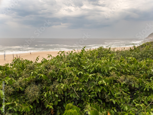 Stormy skies over gray sea in the background with a person running on the sand. In the foreground, green plants characteristic of restinga ecosystem. Itacoatiara beach © Isbel Dias
