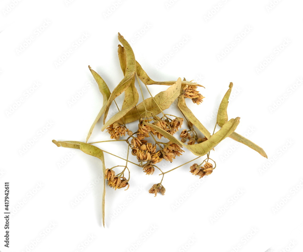 Dry linden flowers isolated on white background. Heap of dried linden flowers and leaves. Dry linden flowers isolated on white background. Heap of dried linden flowers and leaves.