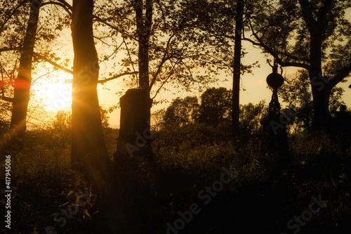 Fototapeta Naklejka Na Ścianę i Meble -  Old cemetery in Lupkow Poland