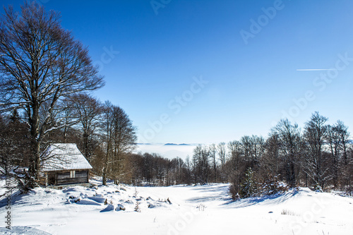 Tara Mountain, winter landscape with a view of the fog in the distance. © Dragan