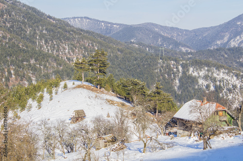 View of the mountain ranges in the distance and the hill on which there are pine trees. A popular tourist destination in nature, on the mountain Tara, in Serbia.