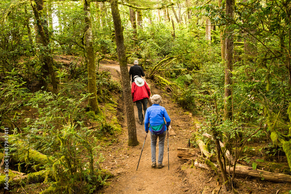 Hikers on a trail at Sitka Sedge state Park on the Oregon coast near pacific City.