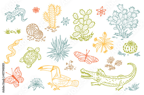 Mexico Vector set. Mexican flora and fauna. Nature of Mexico - Plants and animals. Hand drawn doodle Cactus, butterflies, reptiles, crocodile, toucan bird