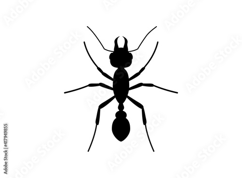 Silhouette Ant top view. Ant Logo template. Insect Symbol. Vector illustration © SMUX