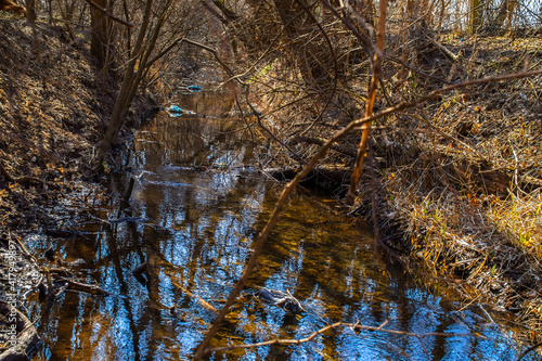 Creek in the forest, trees and blue sky reflection in the water