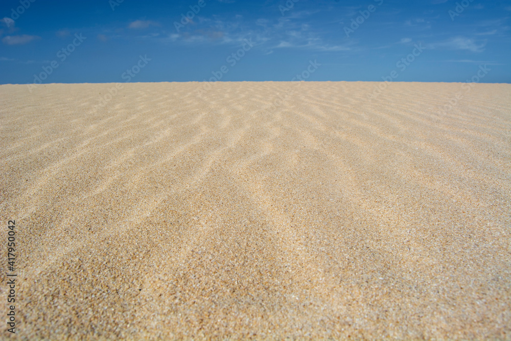 DUNES OF THE NATURAL PARK OF CORRALEJO DUNES OF THE NATURAL PARK OF CORRALEJO