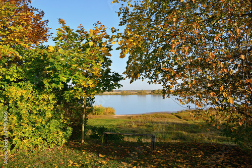 Fototapeta Naklejka Na Ścianę i Meble -  Autumn trees with colorful autumn foliage and old bench on the background of the river. Autumn landscape 
