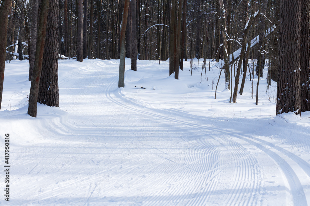 Bend of the ski track in the winter forest, landscape. Bend of the ski track in the winter forest, landscape.