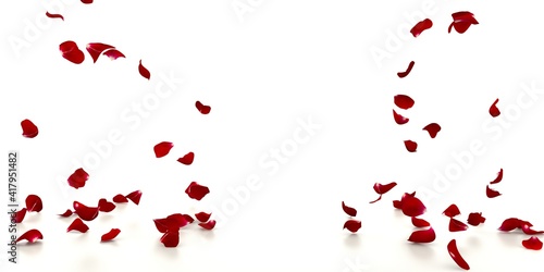 Fototapeta Naklejka Na Ścianę i Meble -  Red rose petals fall on the white mirrored floor