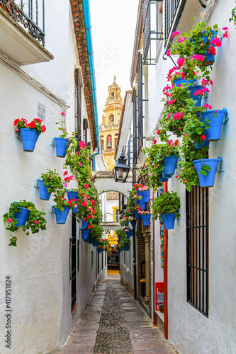 Fototapeta Naklejka Na Ścianę i Meble -  Blaue Blumentöpfe an weißen Häusern der Calleja de las Flores  im alten jüdischen Viertel mit Blick auf die Mezquita von Cordoba, Andalusien, Spanien