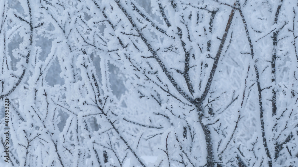 winter river in snowfall and snow tree winter river in snowfall and snow tree