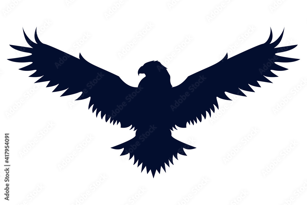 Fototapeta premium wild eagle silhouette