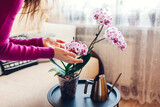 Woman admires blooming orchid touching blossom. Girl taking care of home plants and flowers checking their condition.
